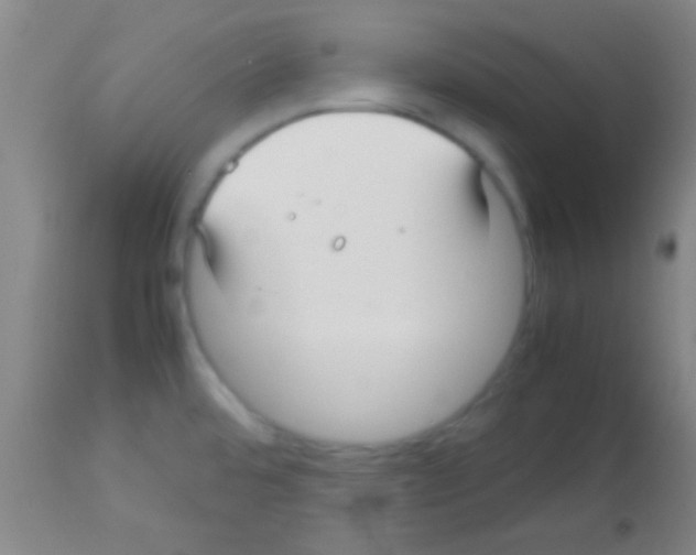 X0000113151480200910161208