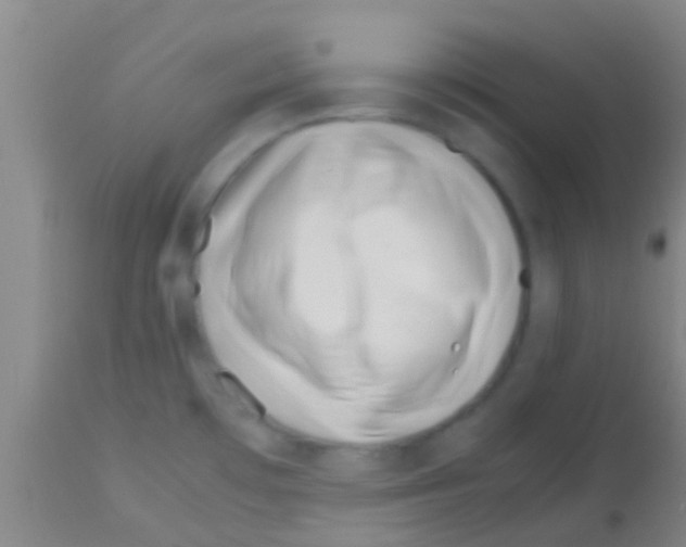 X0000113151481200910161208