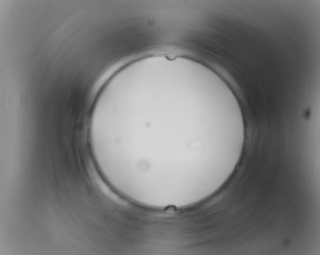 X0000113151484200910161208