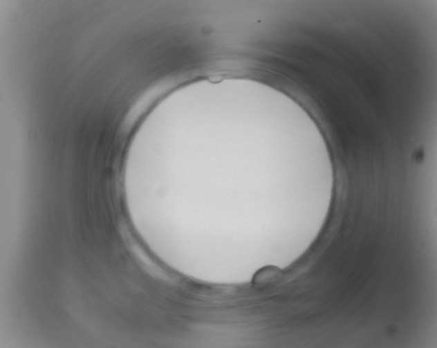 X0000113151485200910161208