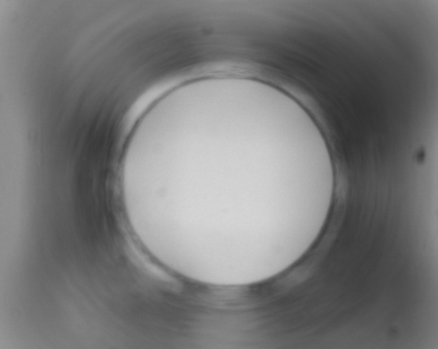 X0000113151486200910161208