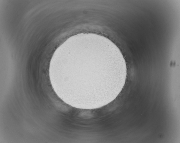 X0000113151489200910161207