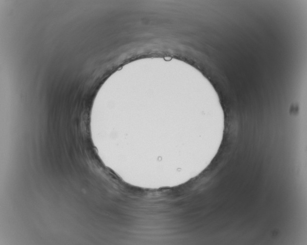 X0000113151490200910161207