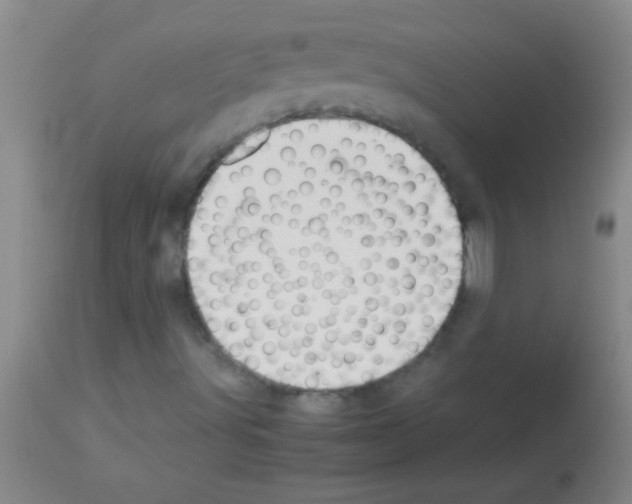 X0000113151491200910161207