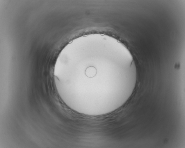 X0000113151492200910161207