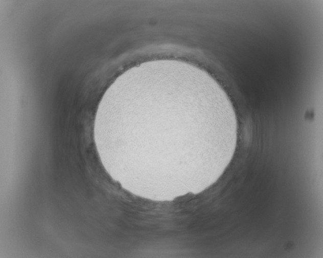 X0000113151493200910161207