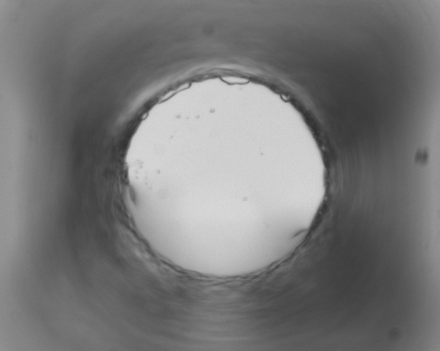 X0000113151496200910161207