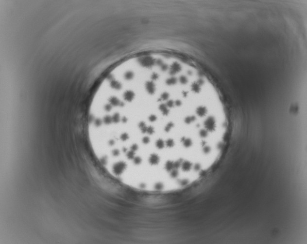 X0000113151497200910161207