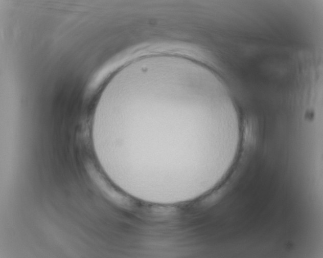 X0000113151498200910161207