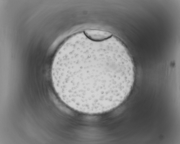 X0000113151499200910161207