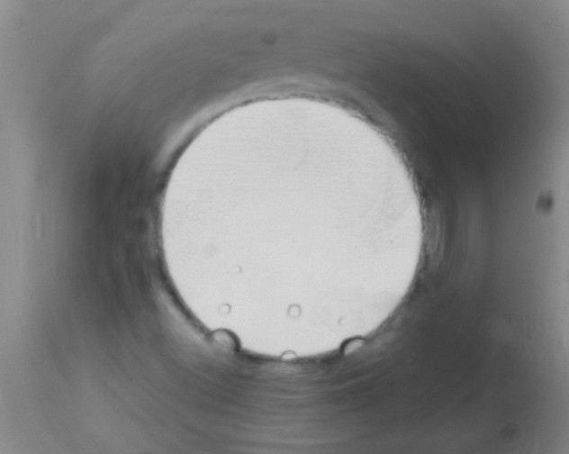 X0000113151500200910161207