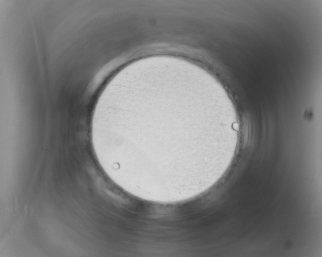 X0000113151501200910161207