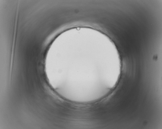 X0000113151502200910161207