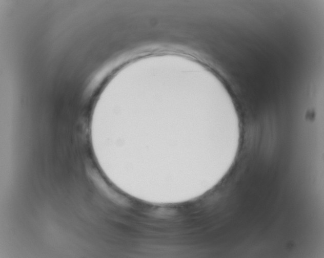 X0000113151503200910161207