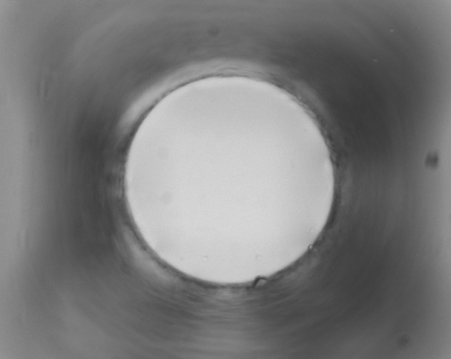 X0000113151504200910161207