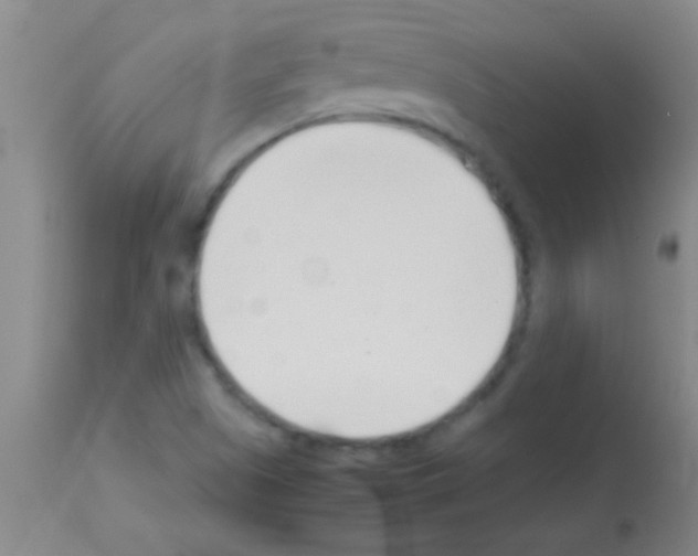 X0000113151505200910161207