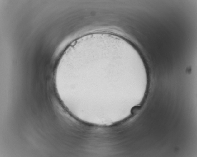 X0000113151506200910161207