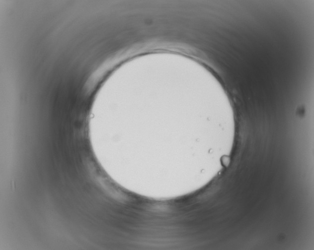 X0000113151507200910161207