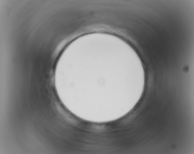 X0000113151509200910161207