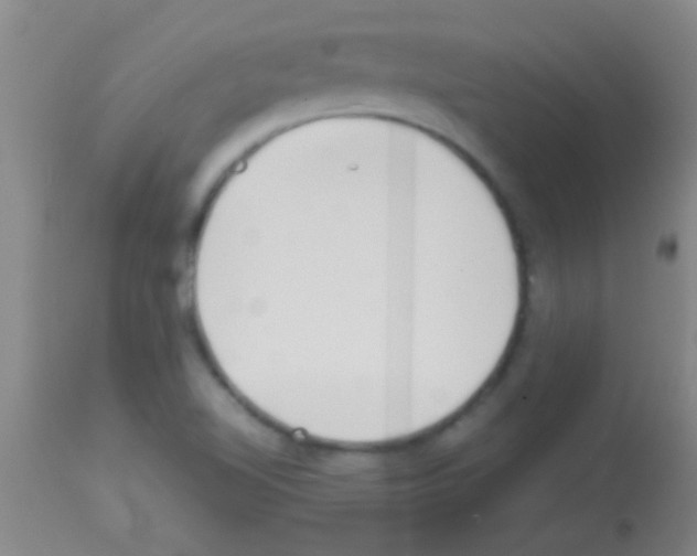 X0000113151510200910161207