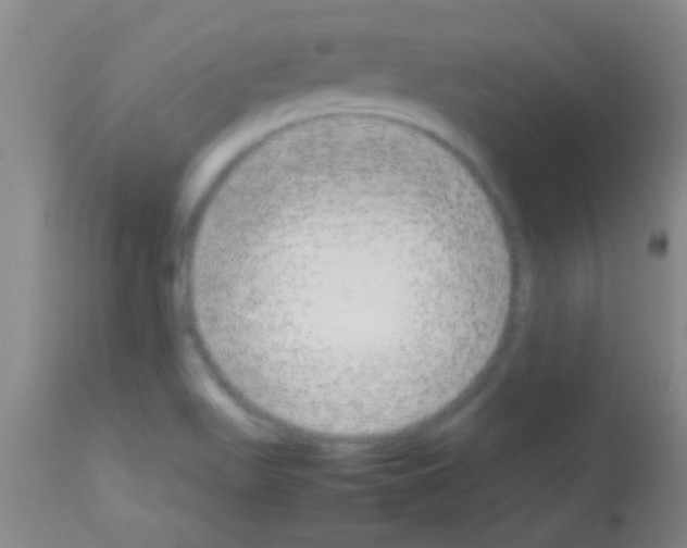 X0000113151511200910161207