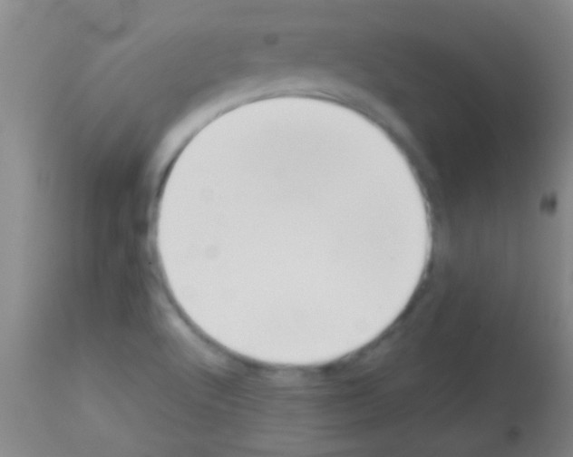 X0000113151512200910161208