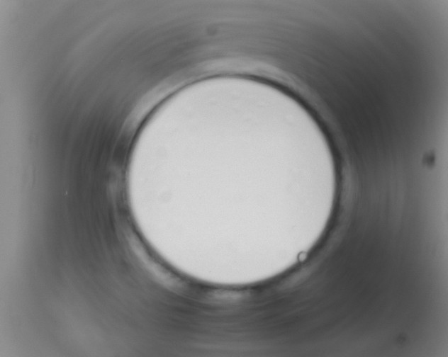 X0000113151513200910161208