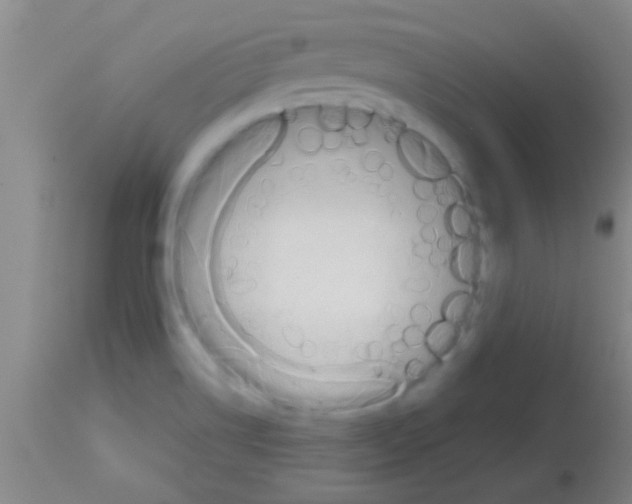 X0000113151514200910161208