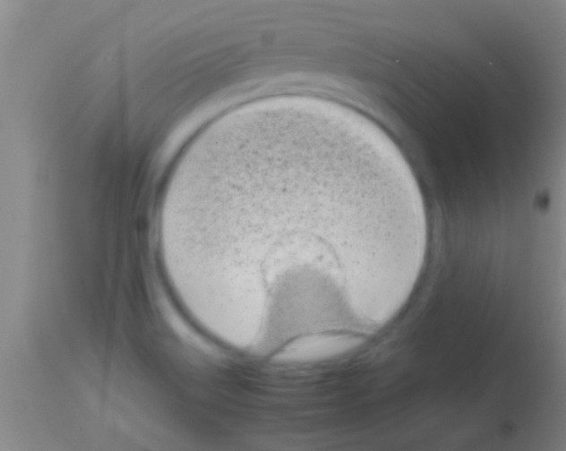 X0000113151515200910161208