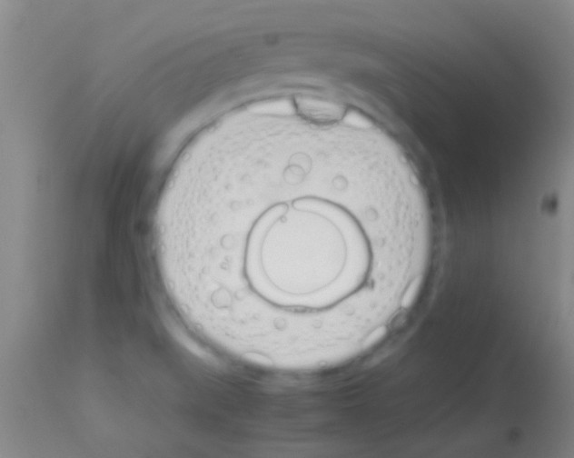 X0000113151519200910161208