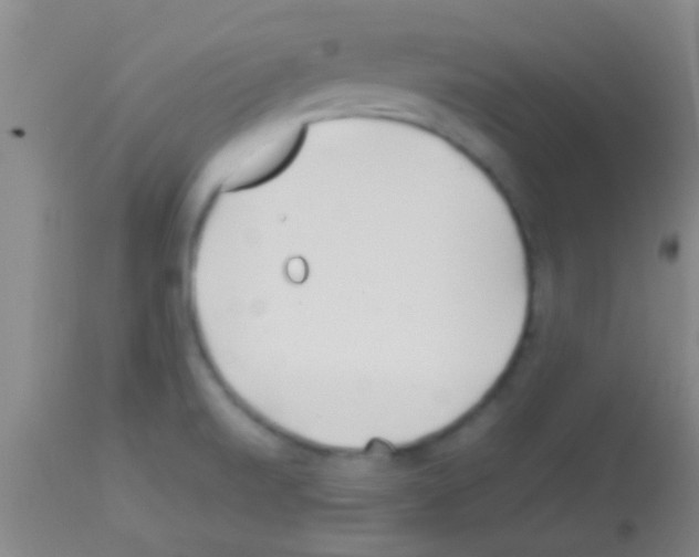 X0000113151520200910161208