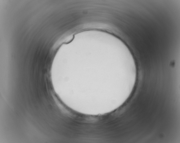 X0000113151521200910161208