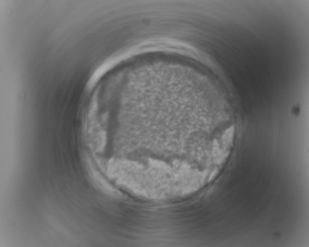 X0000113151522200910161208