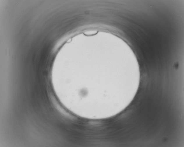 X0000113151523200910161208