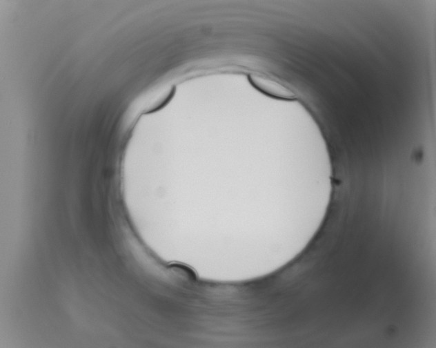 X0000113151524200910161208