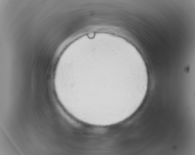 X0000113151525200910161208