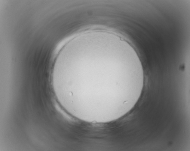 X0000113151527200910161208