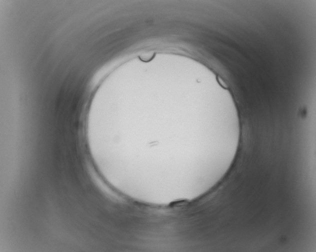 X0000113151528200910161208