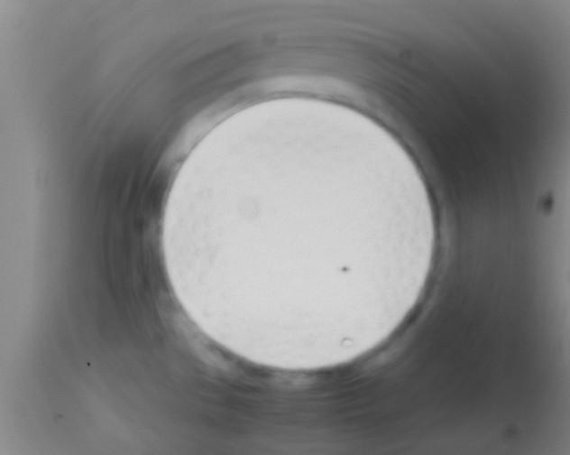 X0000113151529200910161208