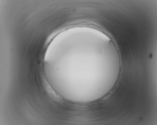 X0000113151530200910161208