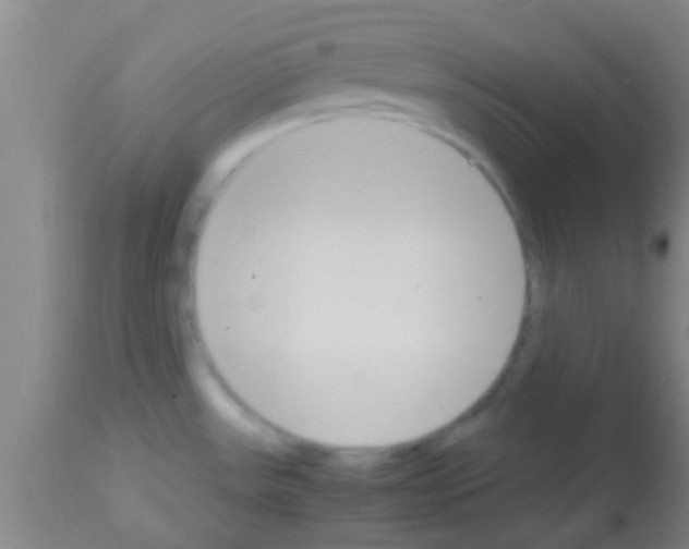 X0000113151531200910161208