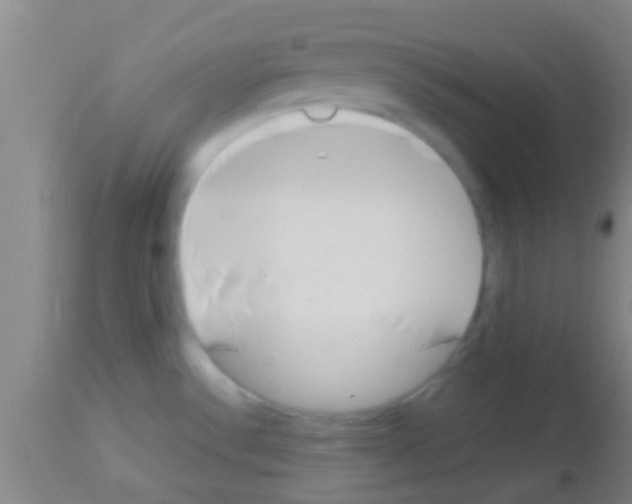 X0000113151532200910161208