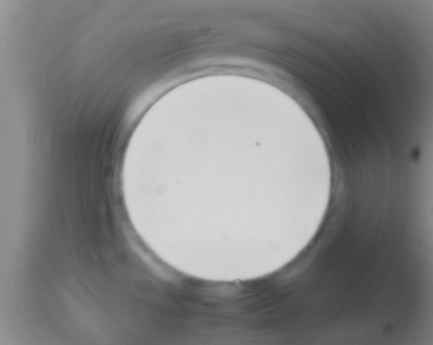 X0000113151533200910161208