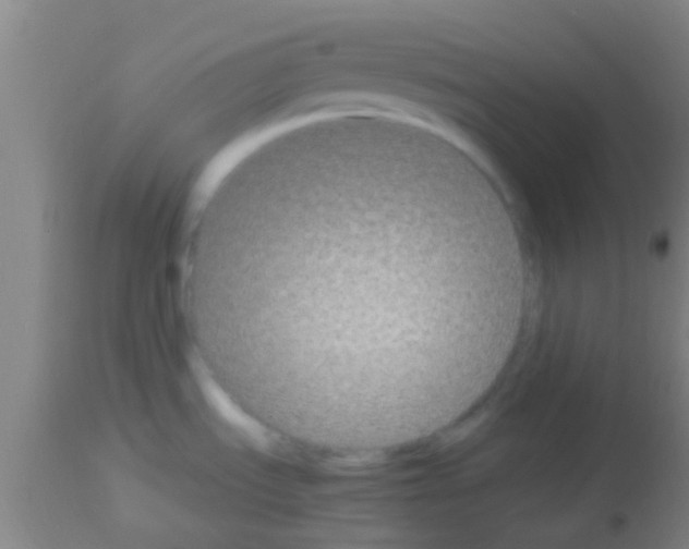 X0000113151535200910161208