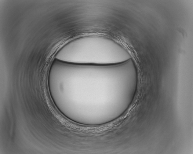 X0000113160001200909041002