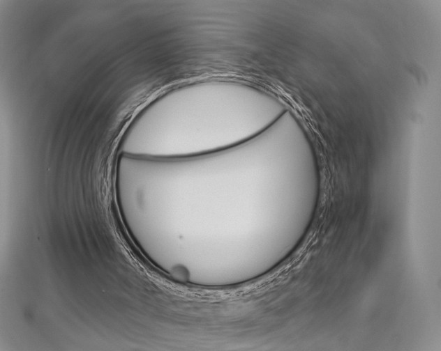 X0000113160002200909041002