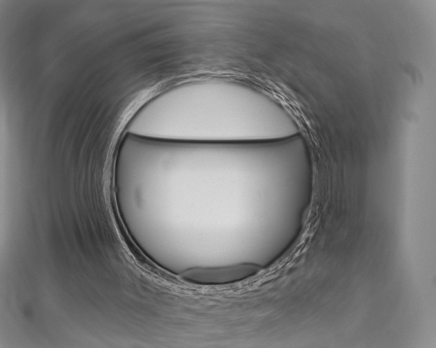 X0000113160003200909041002