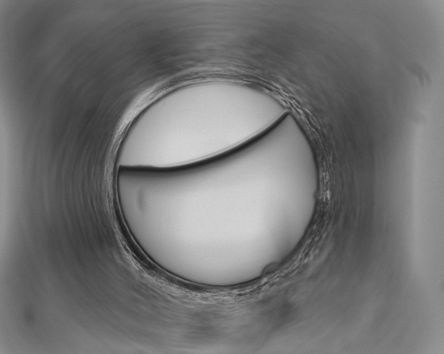 X0000113160004200909041002