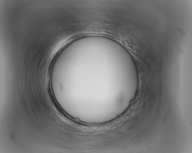 X0000113160005200909041002