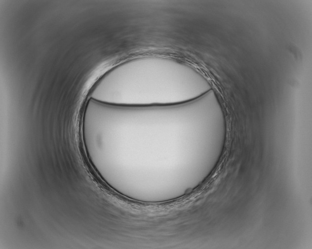 X0000113160006200909041002